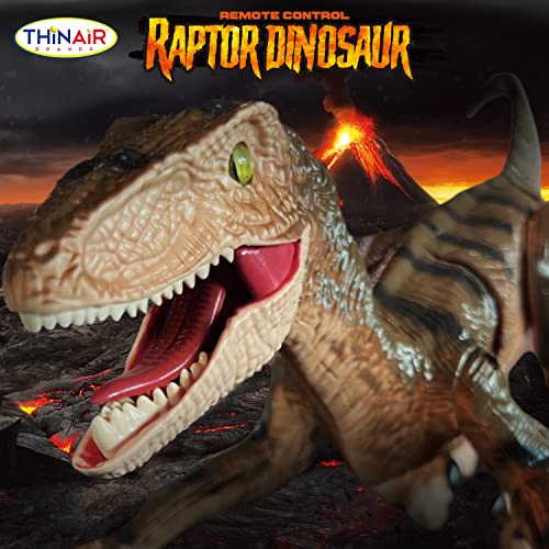 RC Dinosaur Toy: 18-Inch Velociraptor Lights Up, Roars, Walks Forward, Back, Left & Right, Has Built-in Rechargeable Battery for 1 Full Hour of Play, Includes Controller & USB Cable