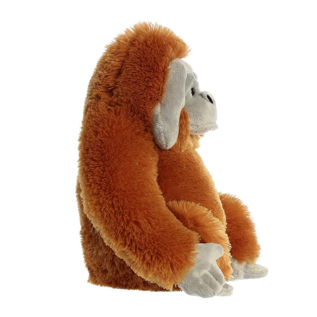 Aurora® Huggable Destination Nation™ Orangutan Stuffed Animal - Global Exploration - Learning Fun - Orange 12 Inches