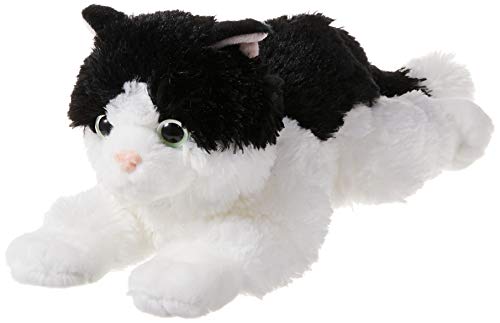 Oreo the Super Cute Black and White Cat by Aurora