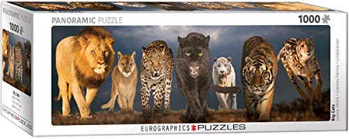 EuroGraphics Big Cats Panoramic 1000-Piece Puzzle