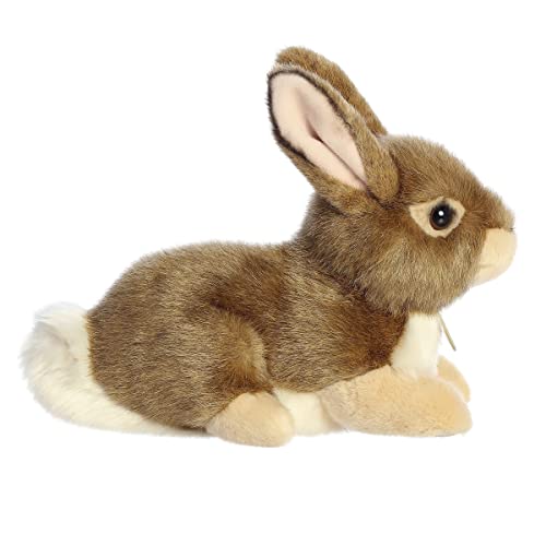 Aurora - Miyoni - 11" Eastern Cottontail Rabbit