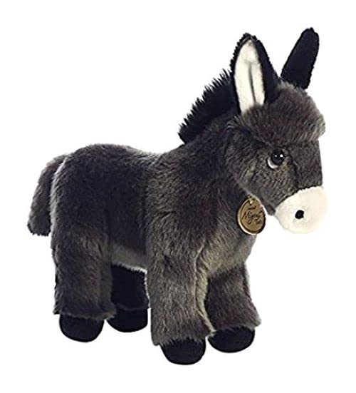 Donkey Foal by Aurora