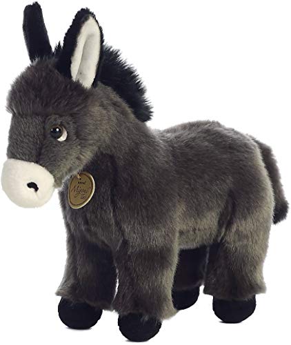Donkey Foal by Aurora