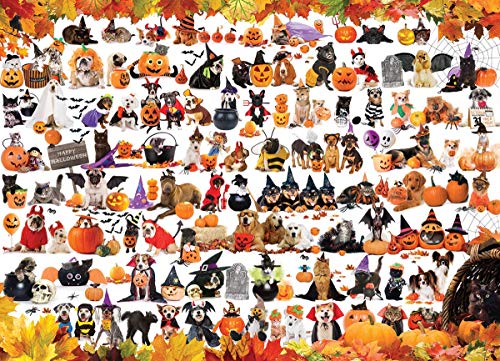 EuroGraphics Halloween Pets Puzzle (1000 Piece)